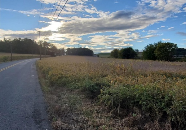 Grim Road, Maxatawny Township, Pennsylvania 19530, ,Commercial,For sale,Grim,702528