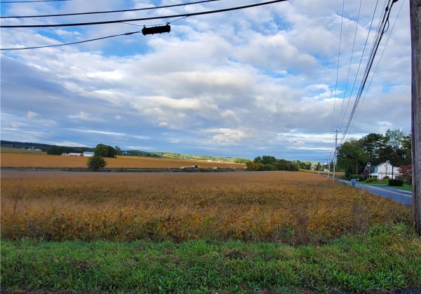 Grim Road, Maxatawny Township, Pennsylvania 19530, ,Commercial,For sale,Grim,702528