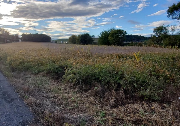 Grim Road, Maxatawny Township, Pennsylvania 19530, ,Commercial,For sale,Grim,702528