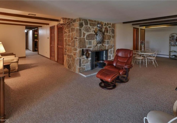 Lower Level Living Room with Fireplace