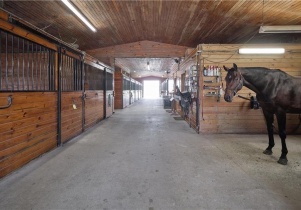 15 stall center aisle barn