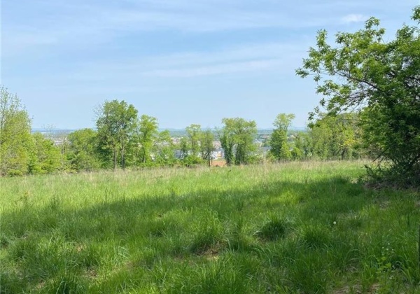 Mountain Lot 1, Lower Macungie Twp, Pennsylvania 18062, ,Residential,For sale,Mountain Lot 1,732473