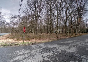 244 Dilldown and Panther Road, Penn Forest Township, Pennsylvania 18229, ,Residential,For sale,Dilldown and Panther,735673