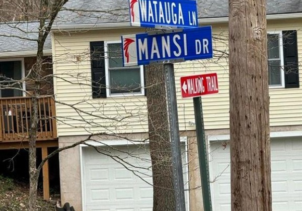 MANSI Drive, Penn Forest Township, Pennsylvania 18216, ,Residential,For sale,MANSI,736387