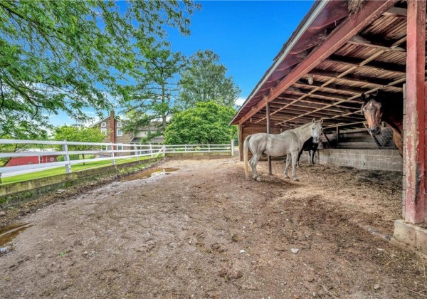 run-in shed interior on house side of farm