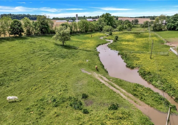 creek runs through a few pastures - how perfect!