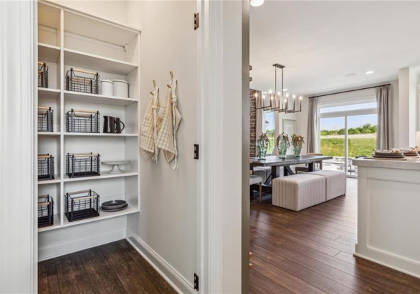 Kitchen Pantry