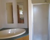 master bathroom tub & stand up shower