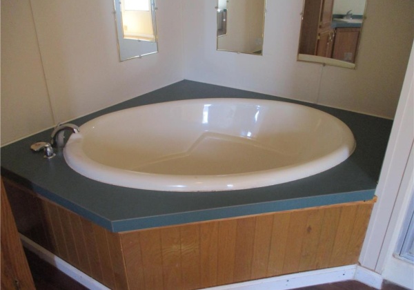 master bathroom soaking tub