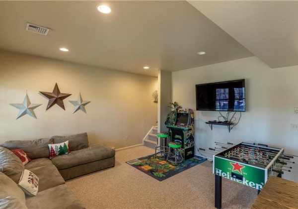 Lower Level Family Room