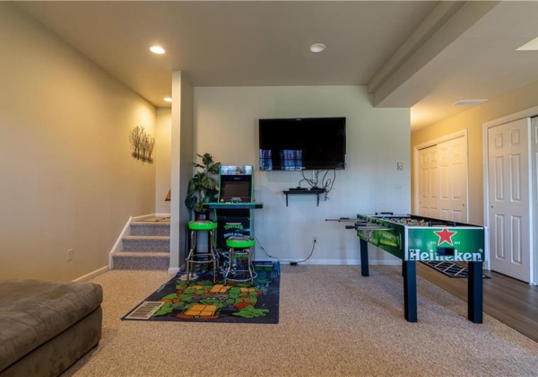 Lower Level Family Room