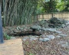 Koi pond with waterfall