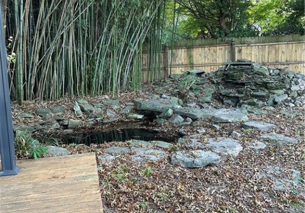 Koi pond with waterfall