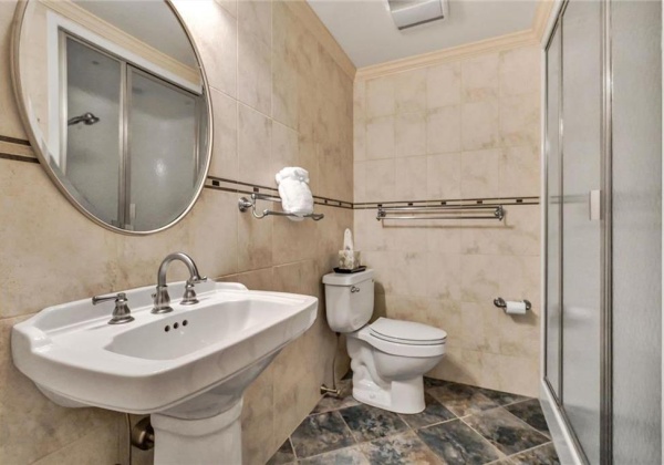 Lower-level Bathroom