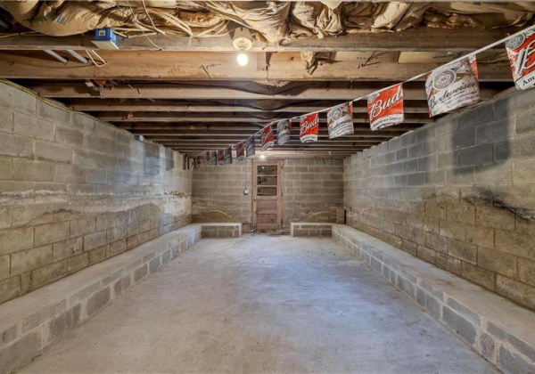 Unfinished Basement To Backyard