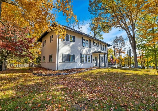 Fall Foliage Front View