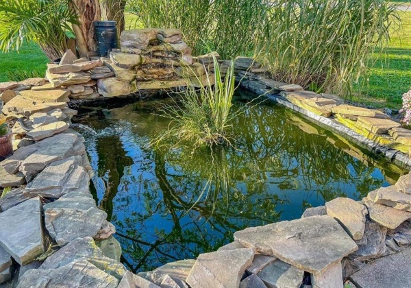 Pond in Backyard