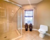 Lower level full bathroom