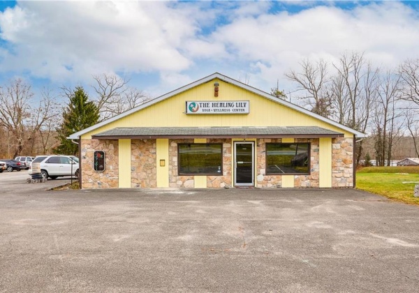 1010 Route 390, Barrett Twp, Pennsylvania 18326, ,Commercial,For sale,Route 390,748448