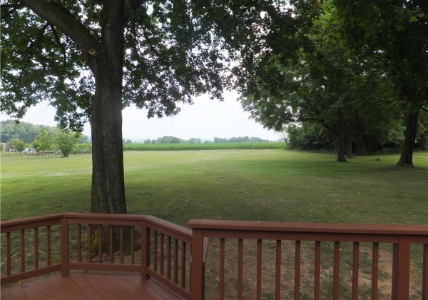 View of farmland