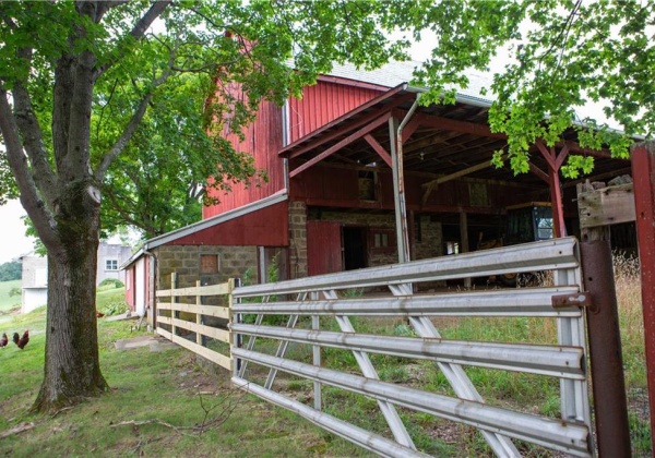 Nice size corral for animals to enjoy. Bank Barn is 35'x50' w/27' interior height on main level to rafters.