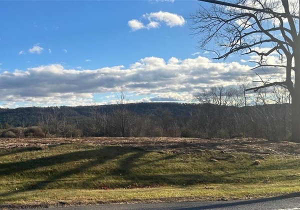 Lot 10 - 1.4 acre lot