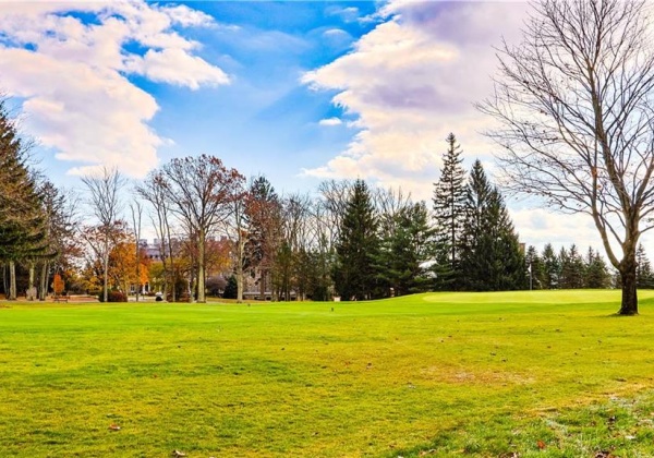 View of Golf Course and Skytop Lodge in the background from property.