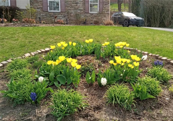 140 Spring Brook Terrace, Nazareth Borough, Pennsylvania 18064, 4 Bedrooms Bedrooms, 10 Rooms Rooms,3 BathroomsBathrooms,Residential,For sale,Spring Brook,749860