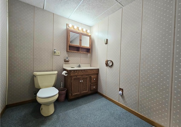 Lower level bathroom w/shower stall