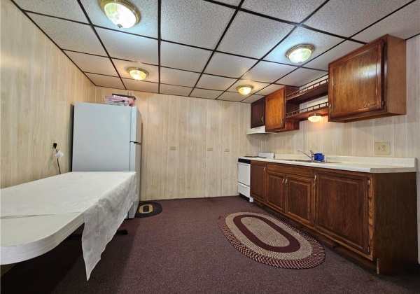 Lower level kitchenette