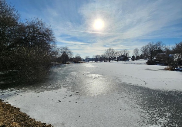 Frozen pond